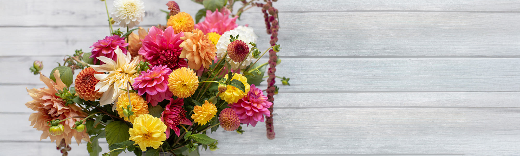 Bulbes à fleurs pour bouquets
