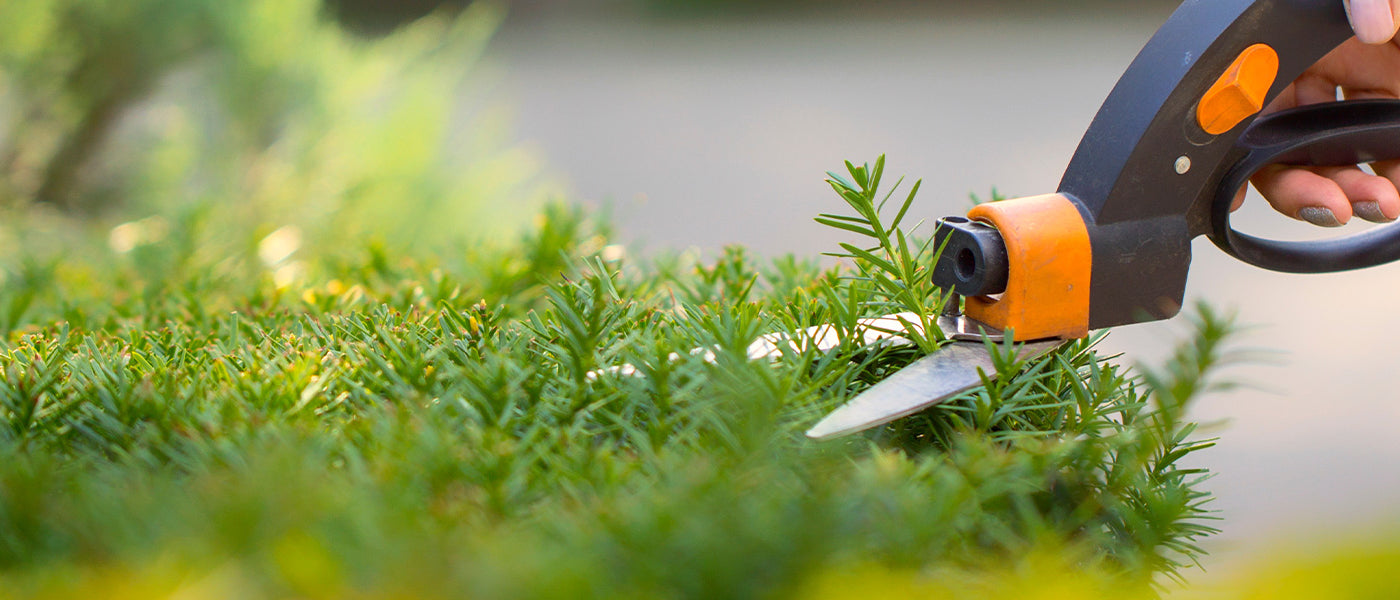 Entretien du jardin
