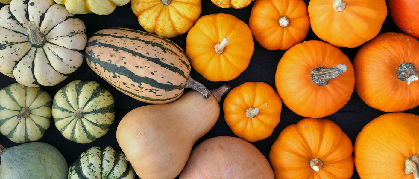 Courges