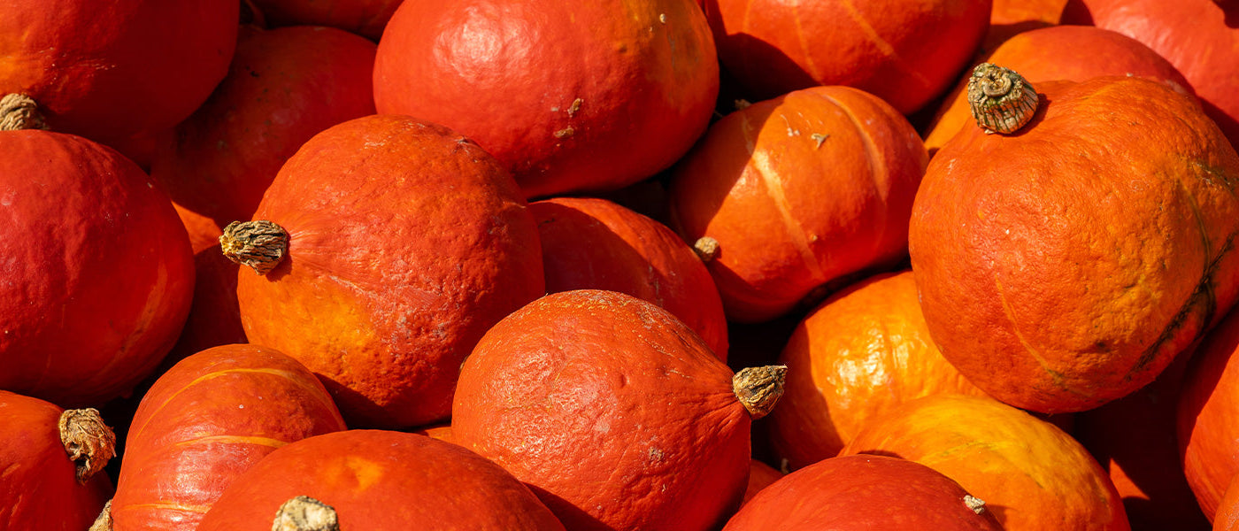 Potirons potimarron