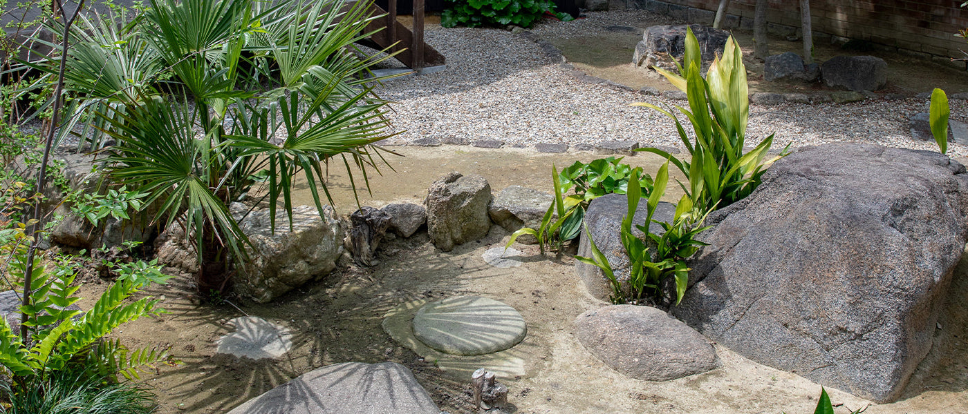 Plantes pour sol sec