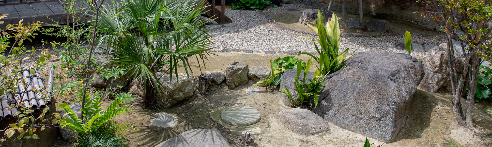 Plantes pour sol sec