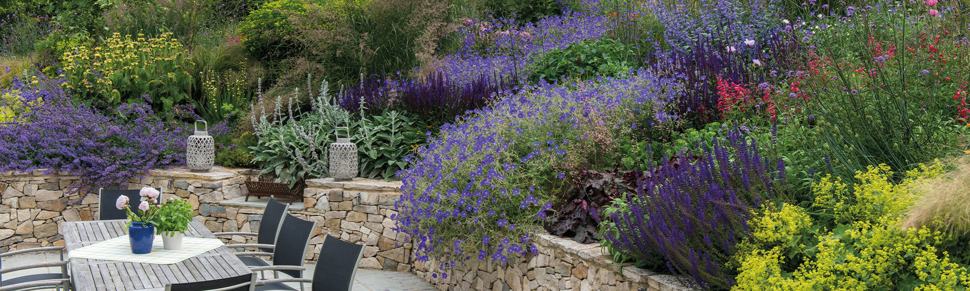 Plantes pour massif arbustif