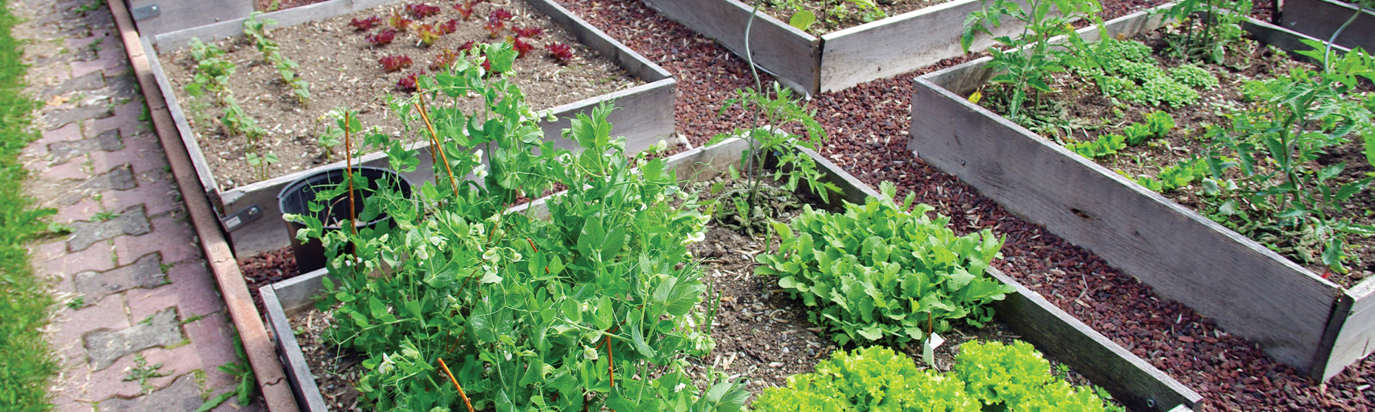 Matériel de jardin et outils de traitement des déchets