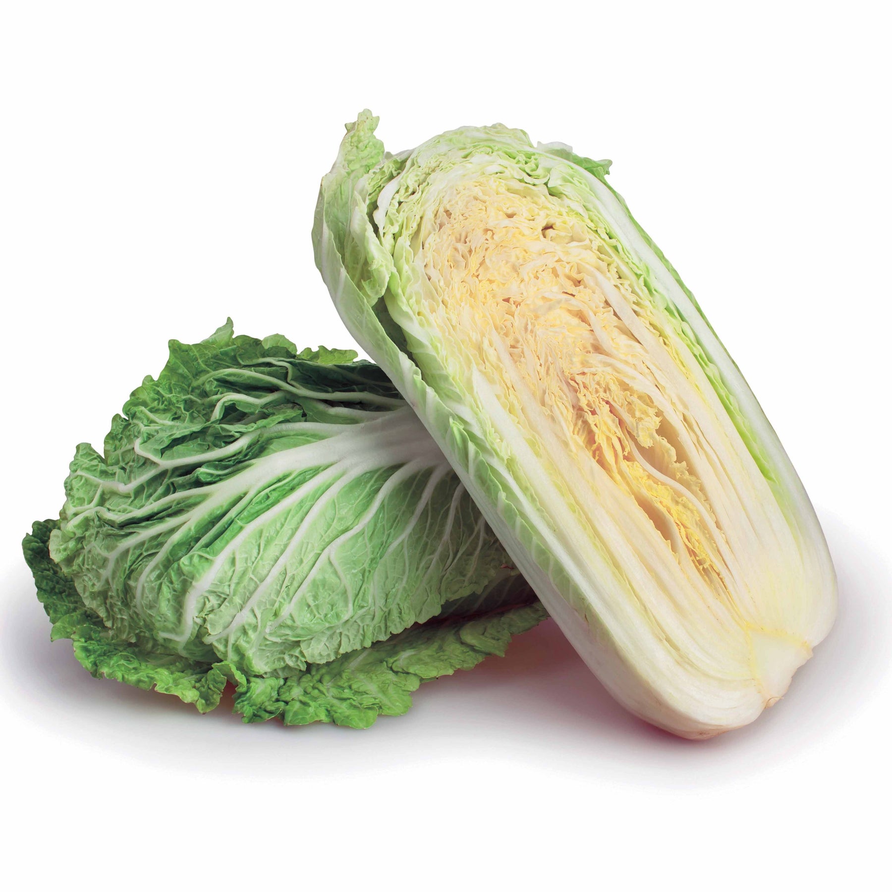 Brassica rapa pekinensis pe-tsai - Chou de Chine Pe-Tsai - Choux
