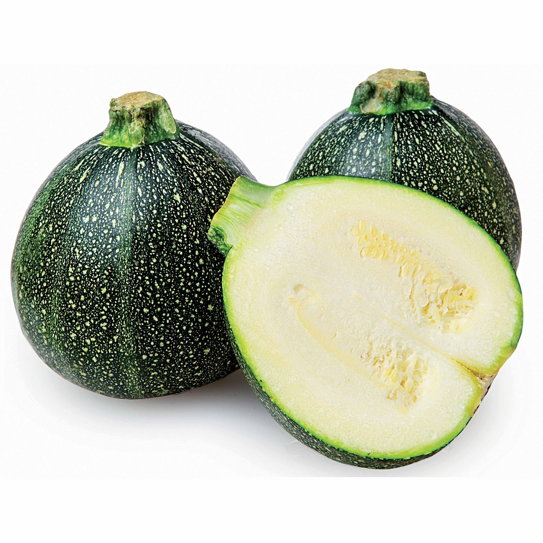 Vente Courgette De Nice à fruits ronds - Cucurbita pepo de nice à fruits ronds