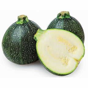 Vente Courgette De Nice à fruits ronds - Cucurbita pepo de nice à fruits ronds