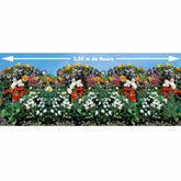 Tapis de graines pour bordures fleuries - Willemse