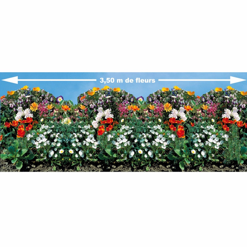 Tapis de graines pour bordures fleuries - Willemse