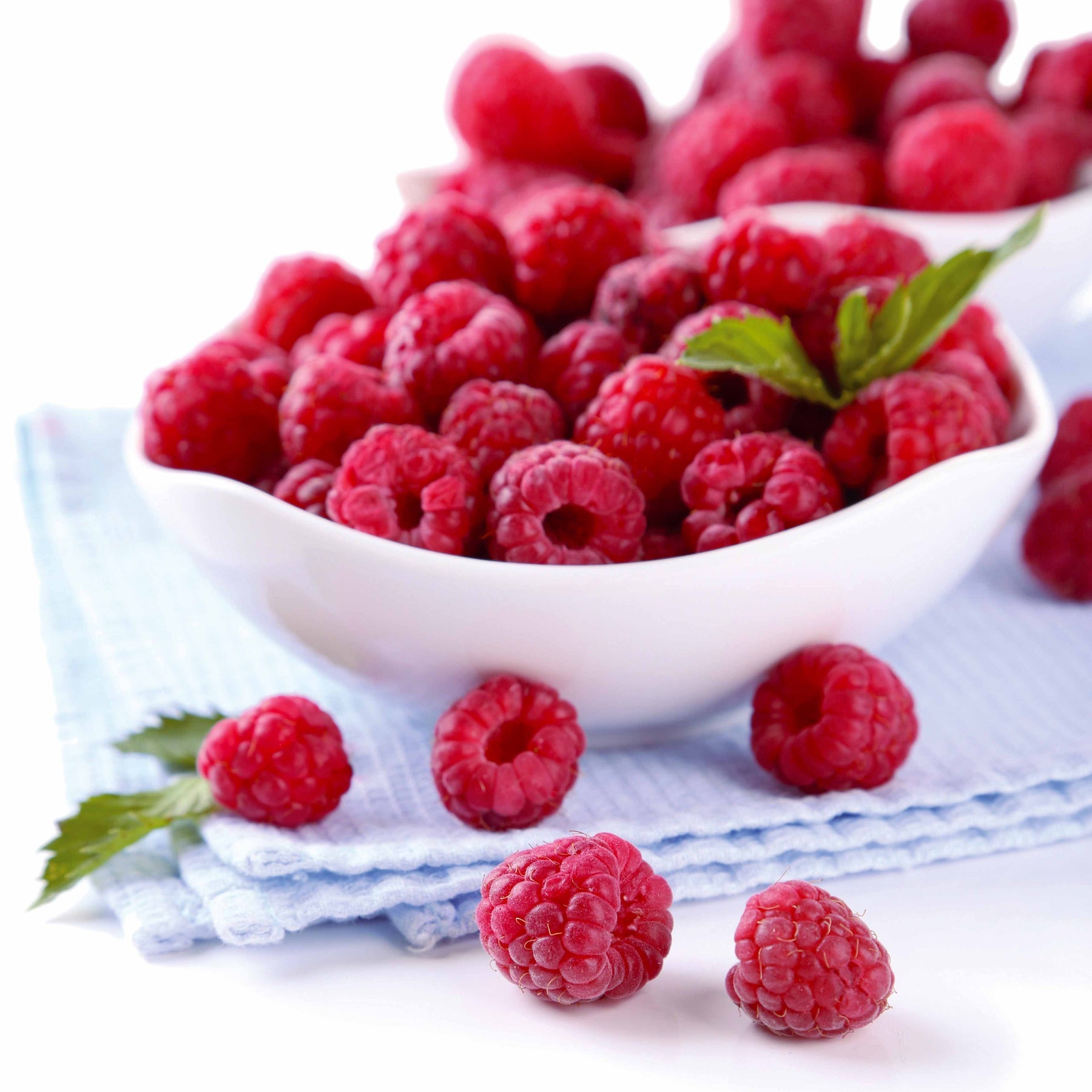 Vente Framboisier remontant Heritage - Rubus idaeus Heritage
