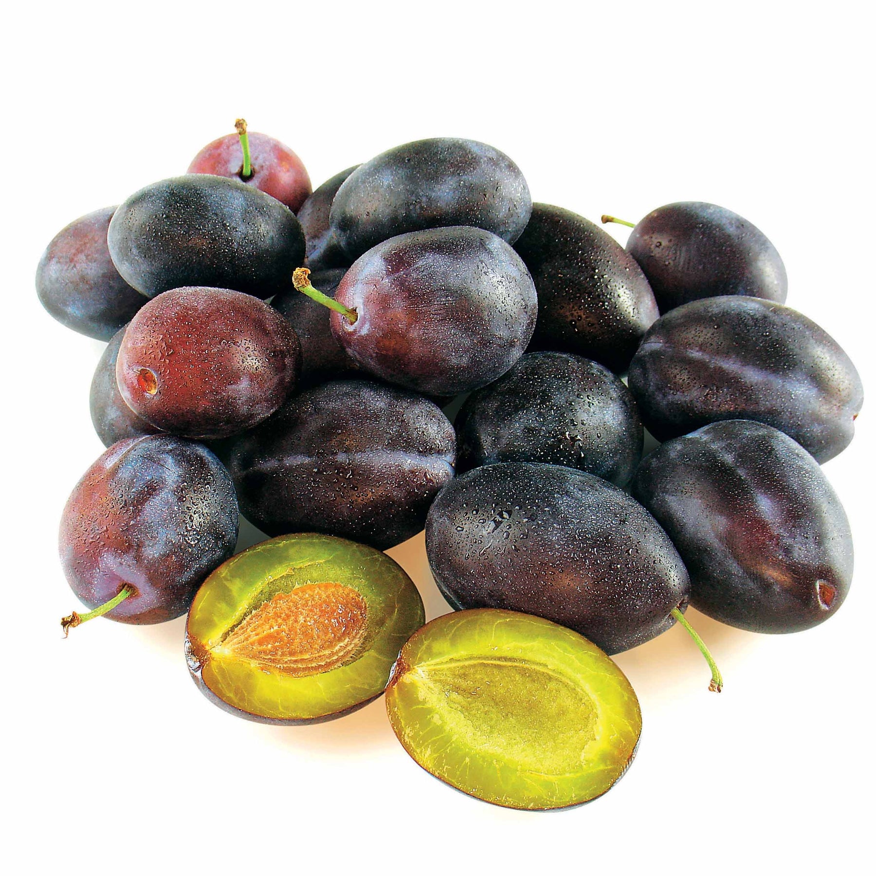 Vente Prunier Quetsche d'Alsace