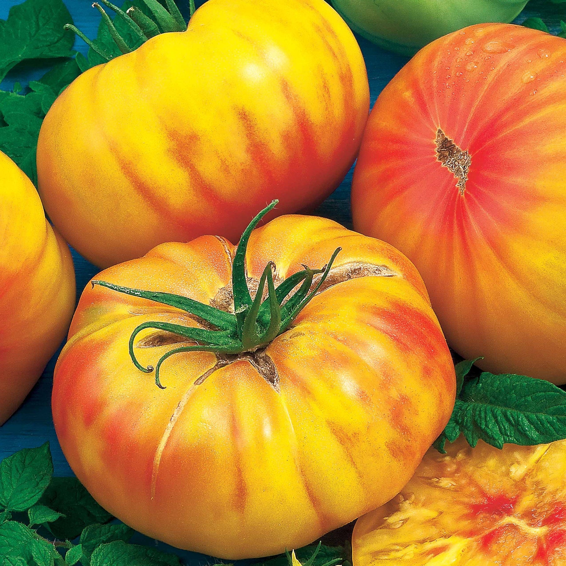 Solanum lycopersicum ananas - Tomate Ananas - Tomates