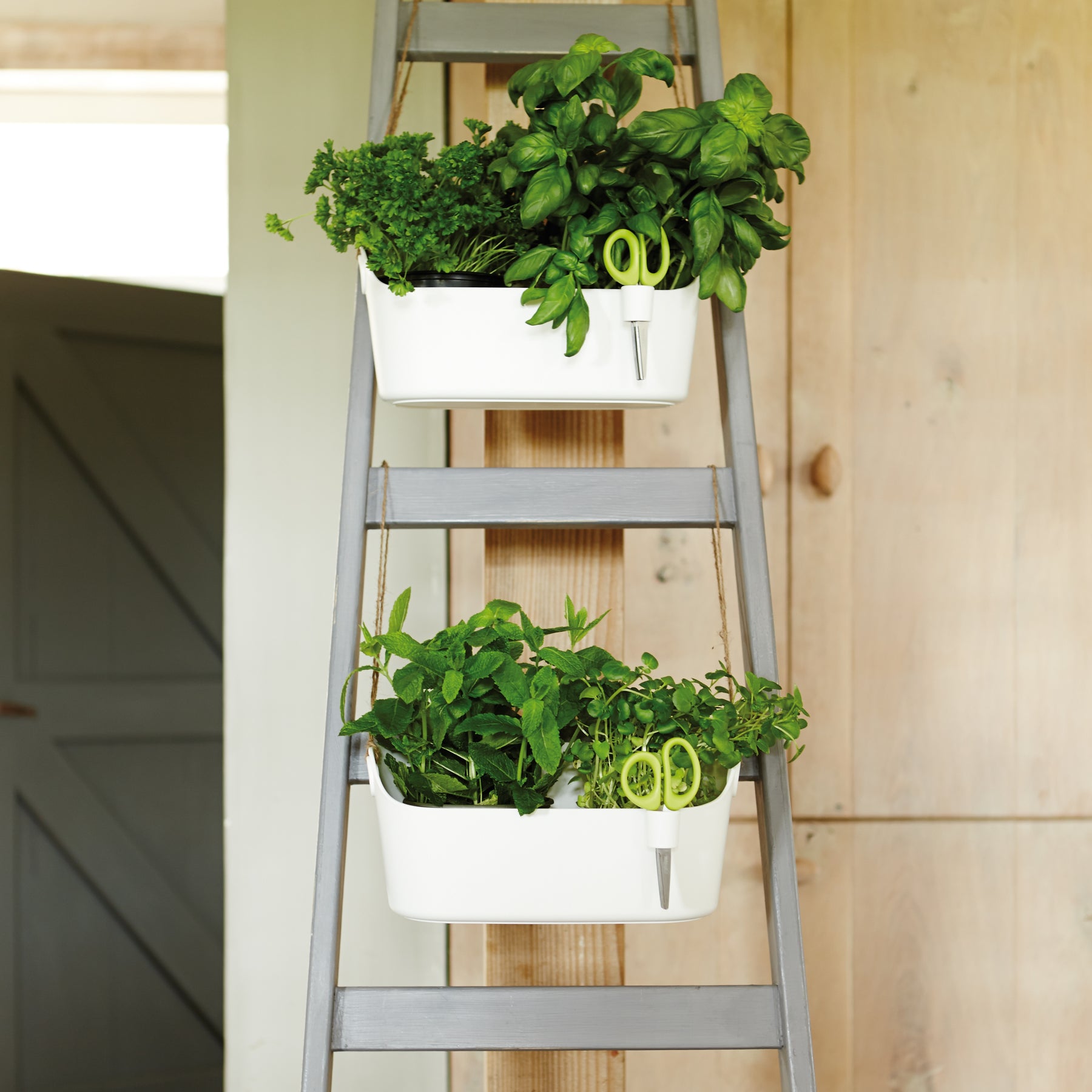  - Cache-pot Brussels Herbs Station anthracite ELHO - Cache-pots & Pots