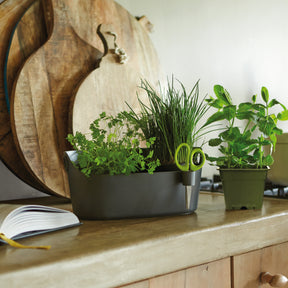 Cache-pots & Pots - Cache-pot Brussels Herbs Station anthracite ELHO - 