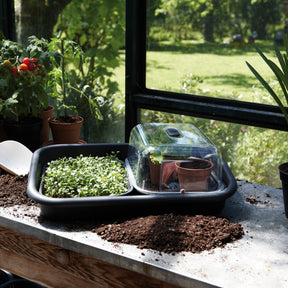  - Soucoupe Green Basic Propagation ELHO - Soucoupes et supports roulants