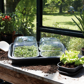 Soucoupes et supports roulants - Soucoupe Green Basic Propagation ELHO - 