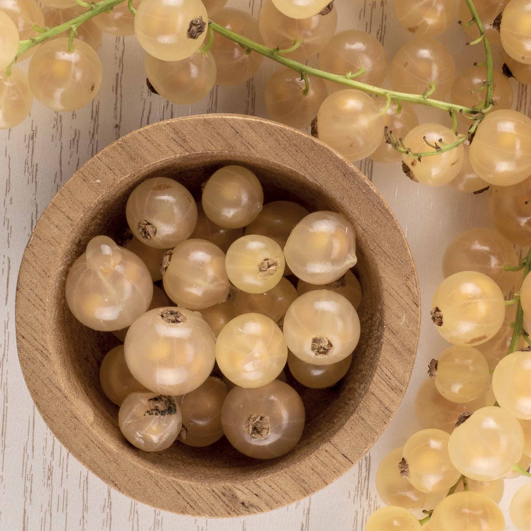 Ribes rubrum white pearl - Groseillier White Pearl - Groseillier