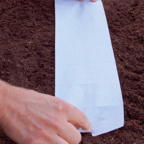 Vente 10 Tapis de graines Massif ensoleillé - Graines de fleurs