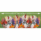 Tapis de fleurs parfumées en mélange - Willemse