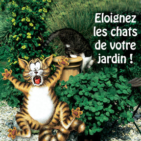 6 Terreurs des chats - Willemse
