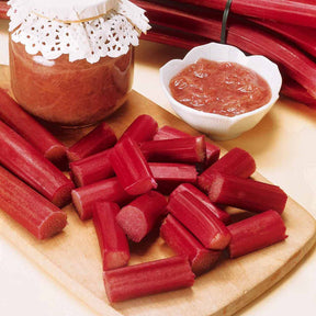 Rhubarbe - 6 Rhubarbes - Rheum rhaponticum