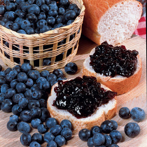 Vaccinium vitaminos - 2 Myrtilles Vitaminos Extra - Fruits rouges