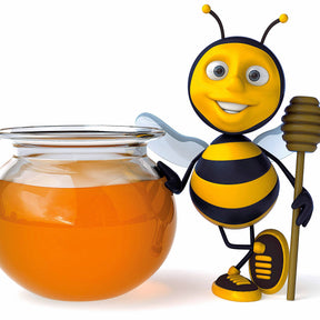 65 bulbes bleu/jaune attirant les abeilles - Anémone - Willemse