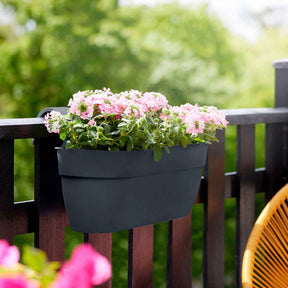 Elho Balconnière Easy hanger living noir - Willemse