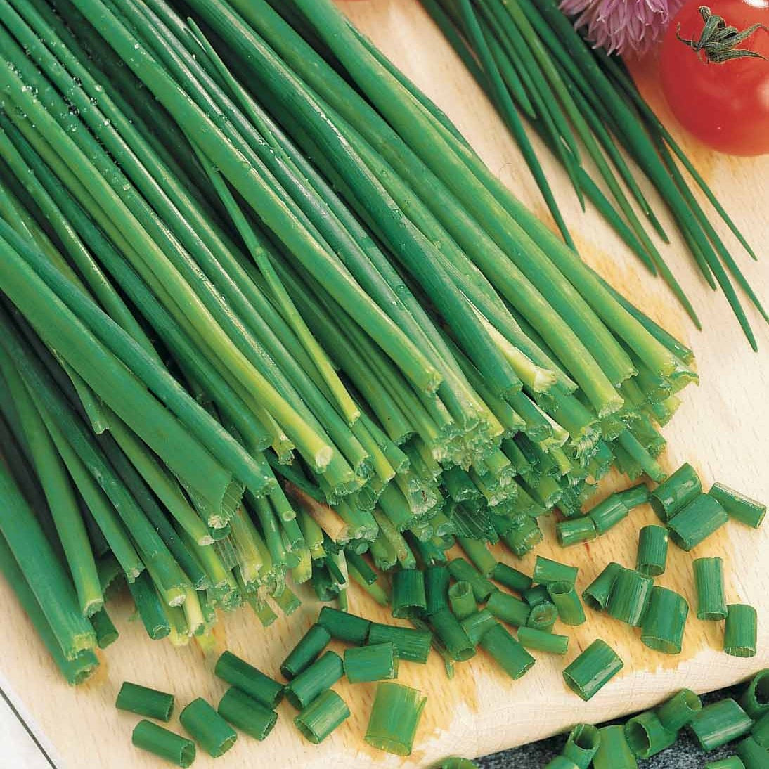 Vente Ciboulette Commune - Allium schoenoprasum