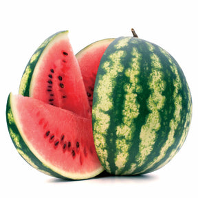 Vente Pastèque Crimson Sweet - Citrullus lanatus Crimson Sweet