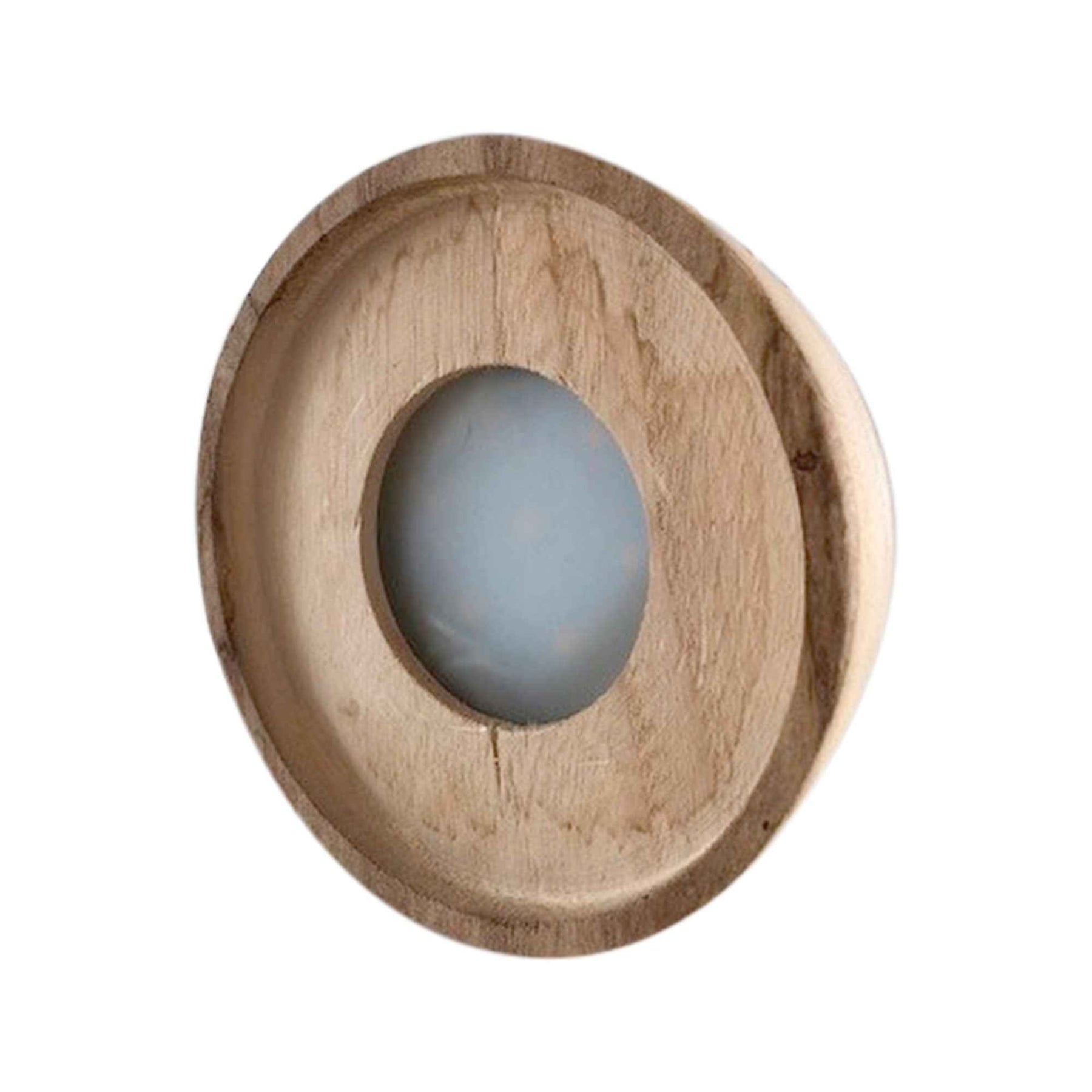 Clusia - Clusia Met et son ampoule vase avec LED - Hydro