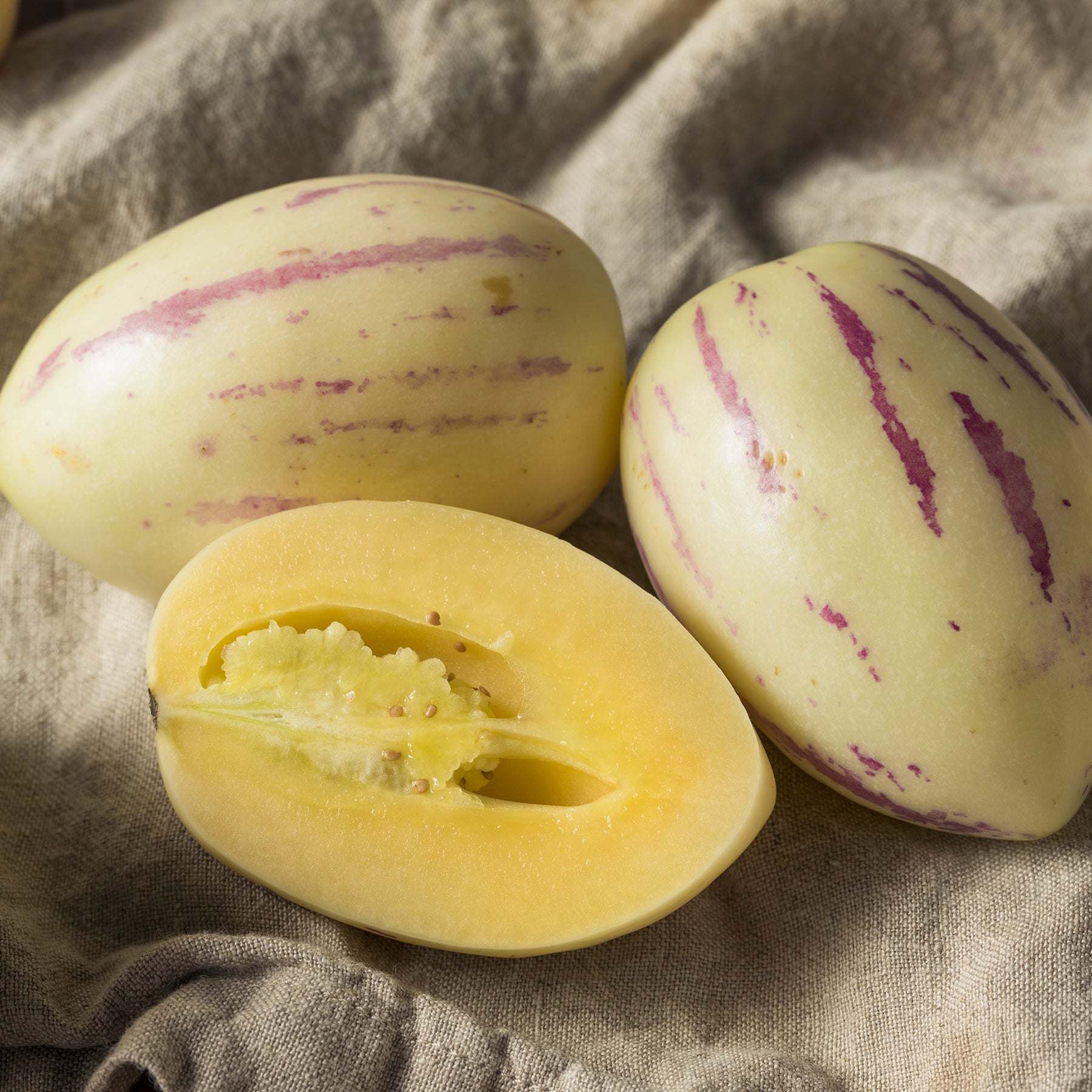 Vente Poire-melon - Solanum muricatum
