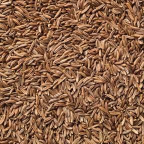 Cumin - Cumin - Willemse