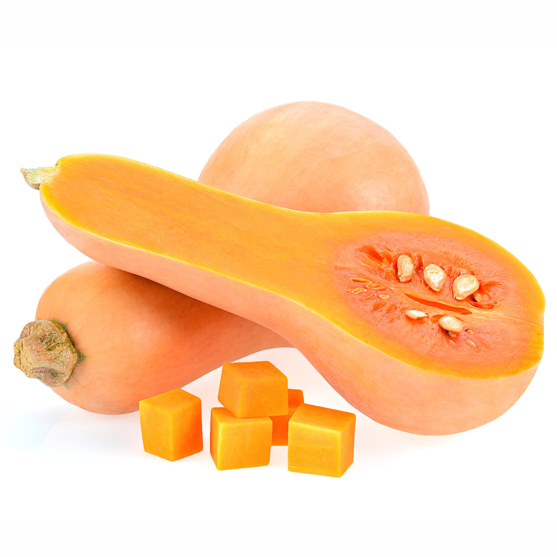 Courge Butternut Hercules F1