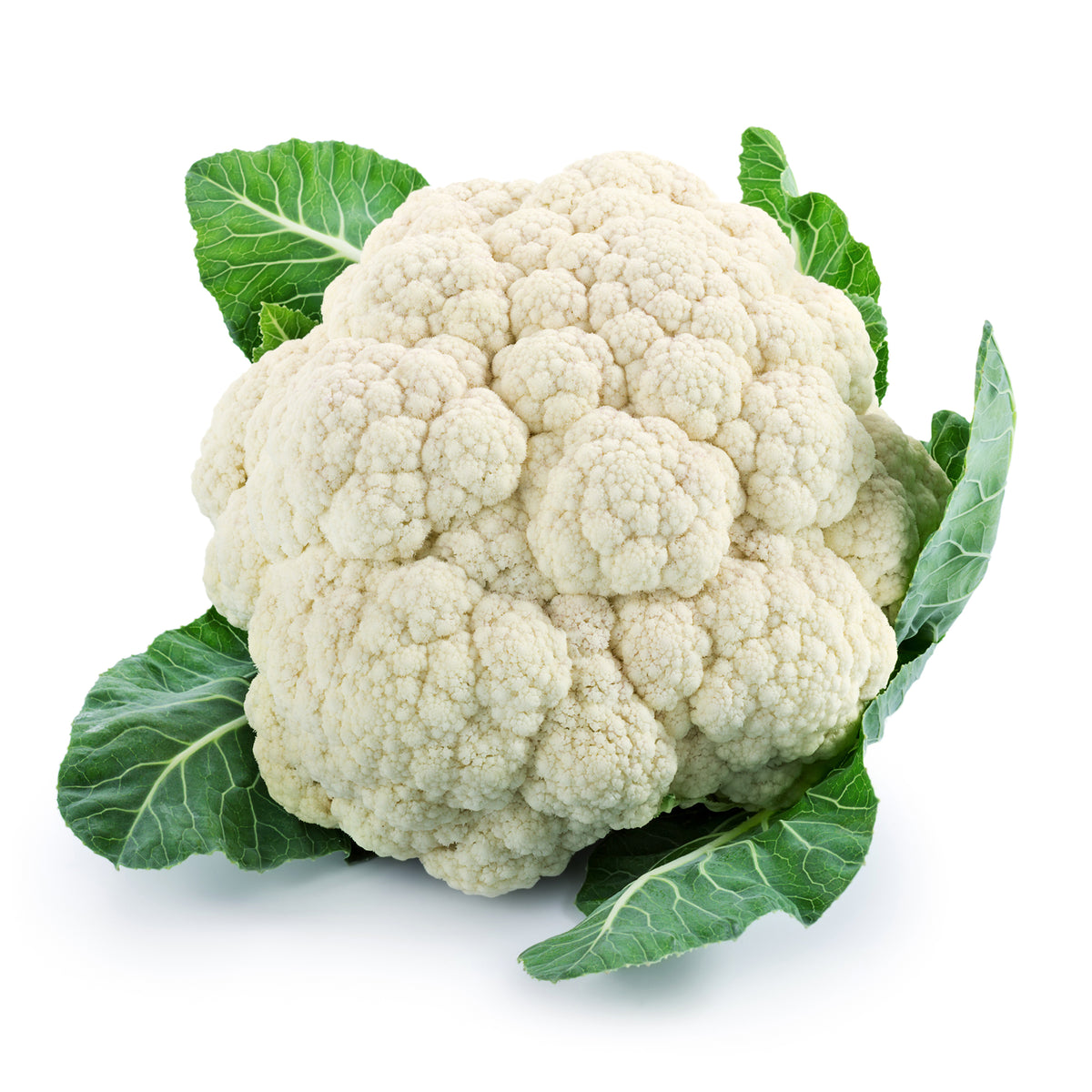 Chou-fleur Plana F1