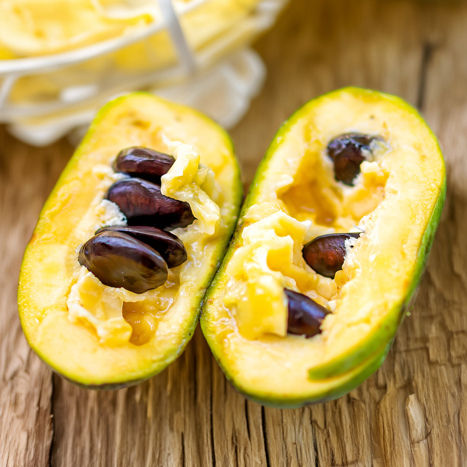 Vente Asiminier - Pawpaw - Asimina triloba