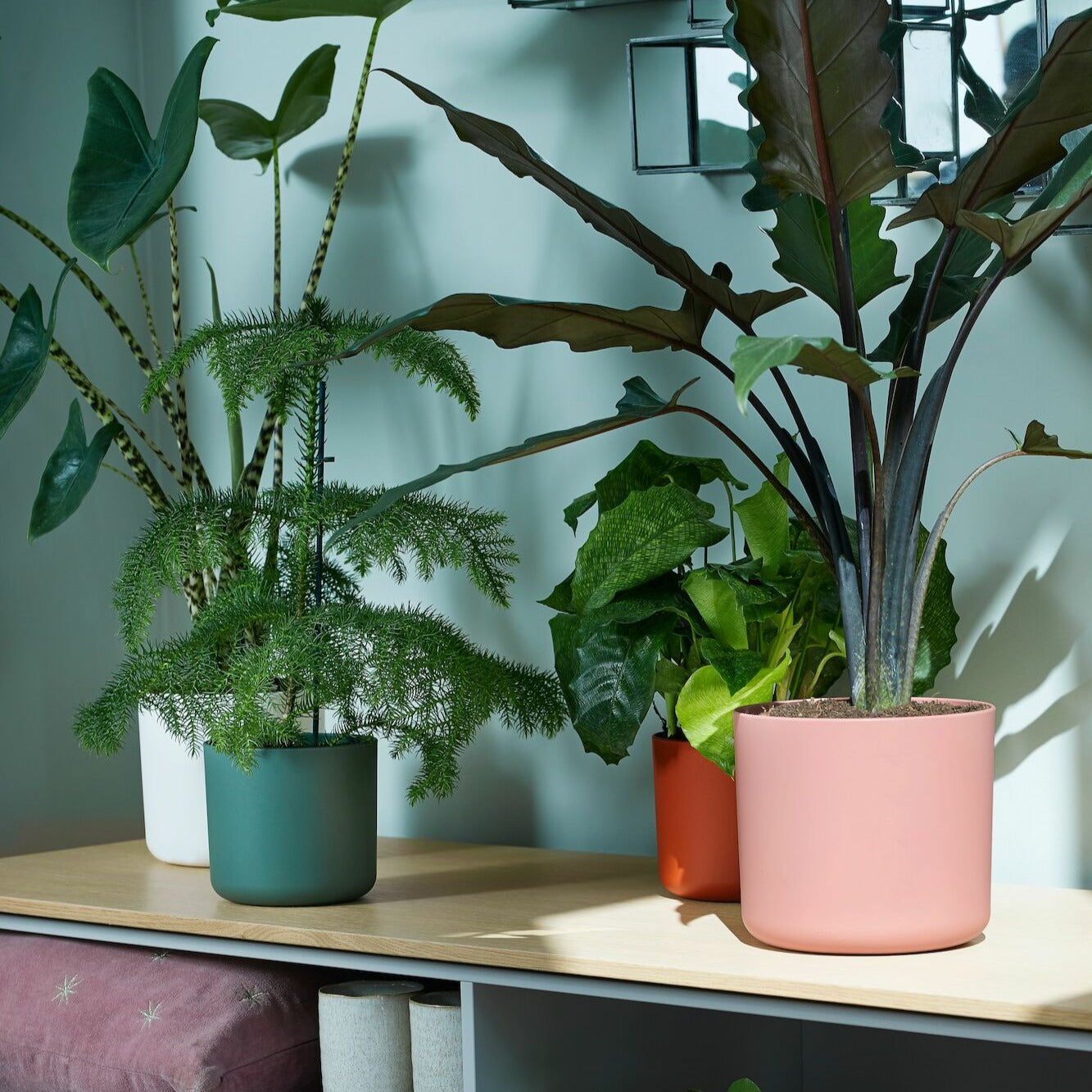Cache-pots & Pots - Cache-pot B for soft rond rose ELHO - 
