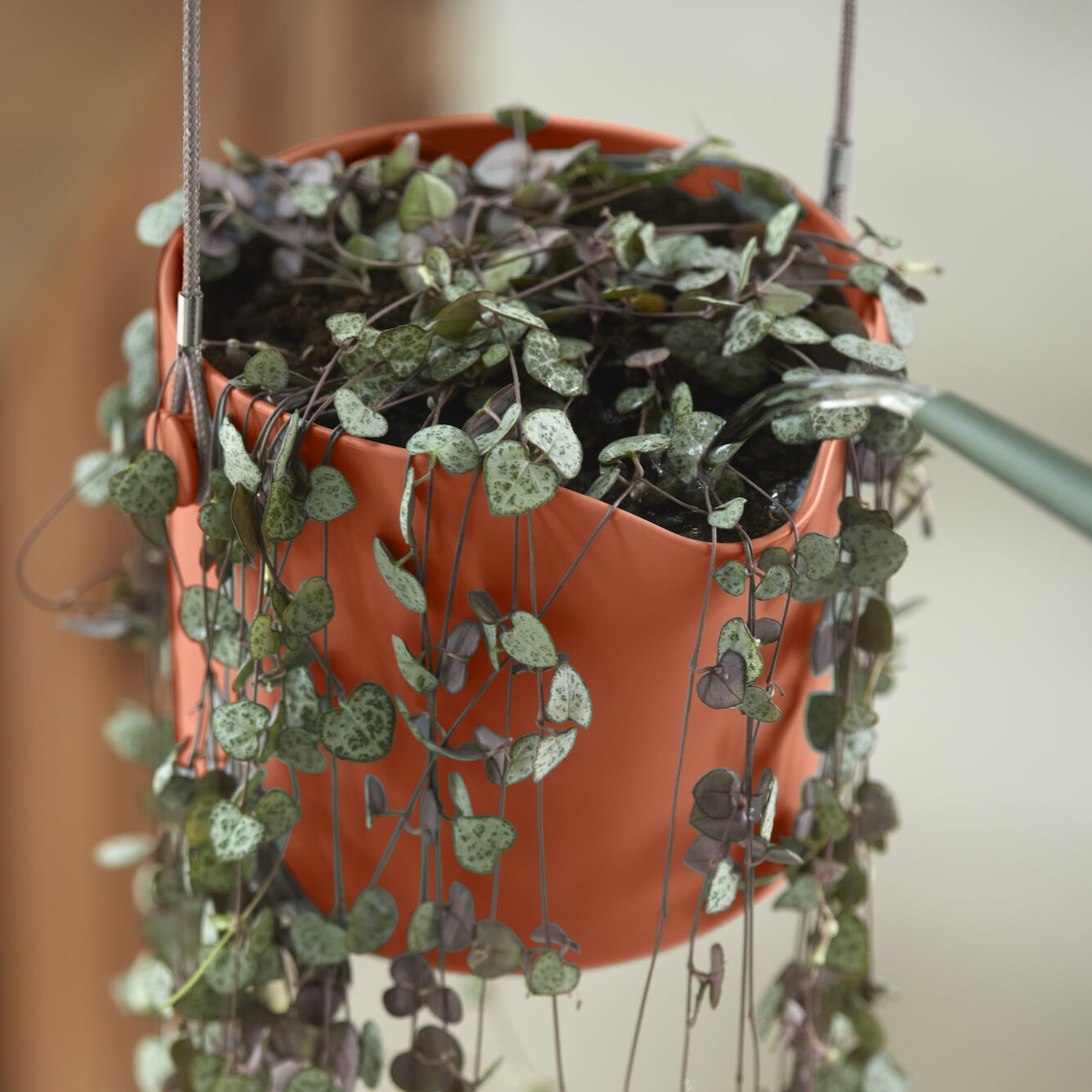 Suspension B for swing terracotta ELHO - Suspensions - Willemse