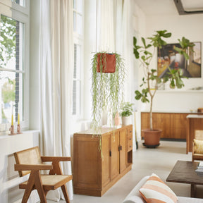 Vente Suspension B for swing terracotta ELHO - Suspensions