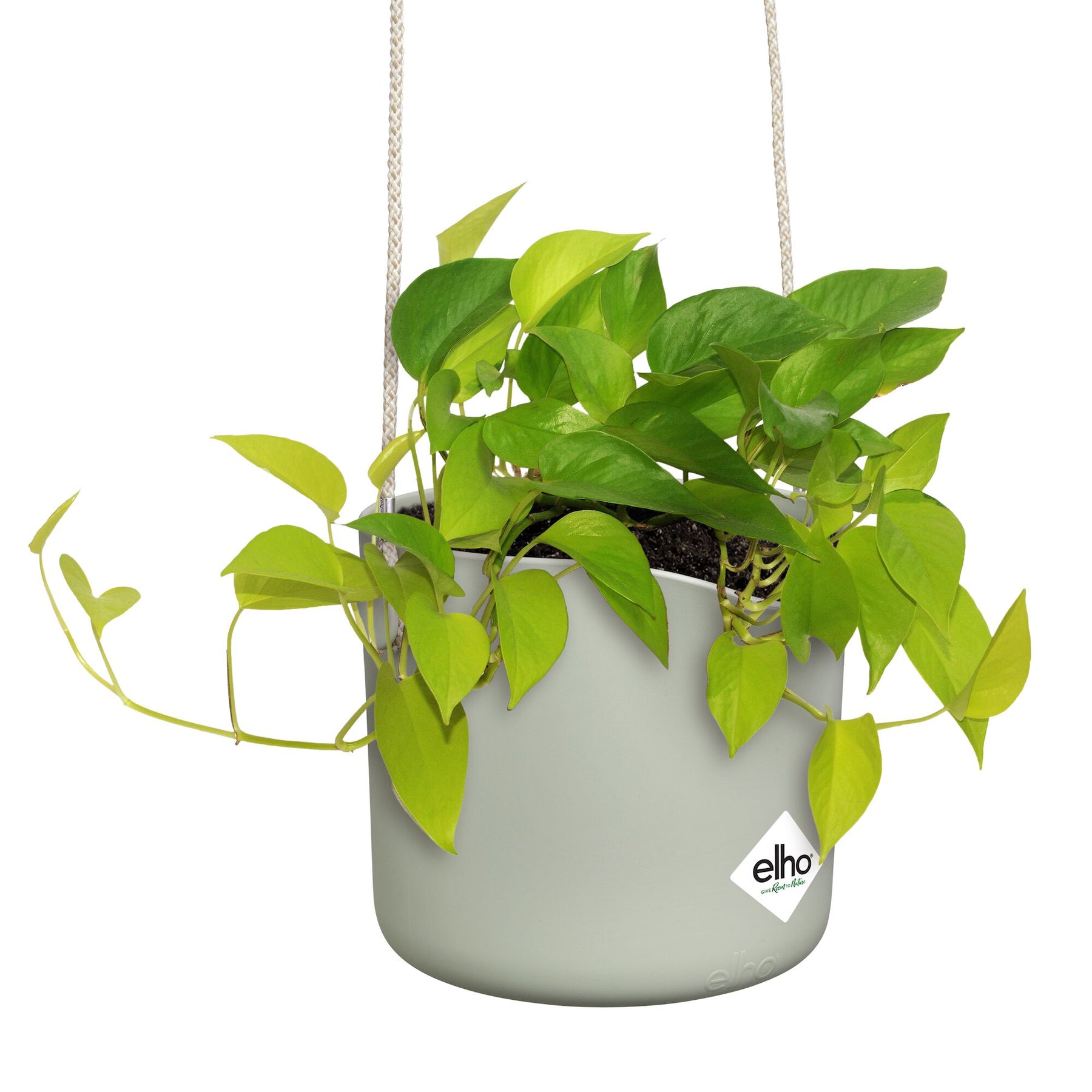 Vente Suspension B for swing blanc ELHO