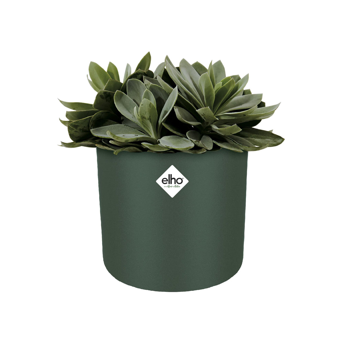 Elho Cache-pot B for soft rond leaf green -  - Willemse