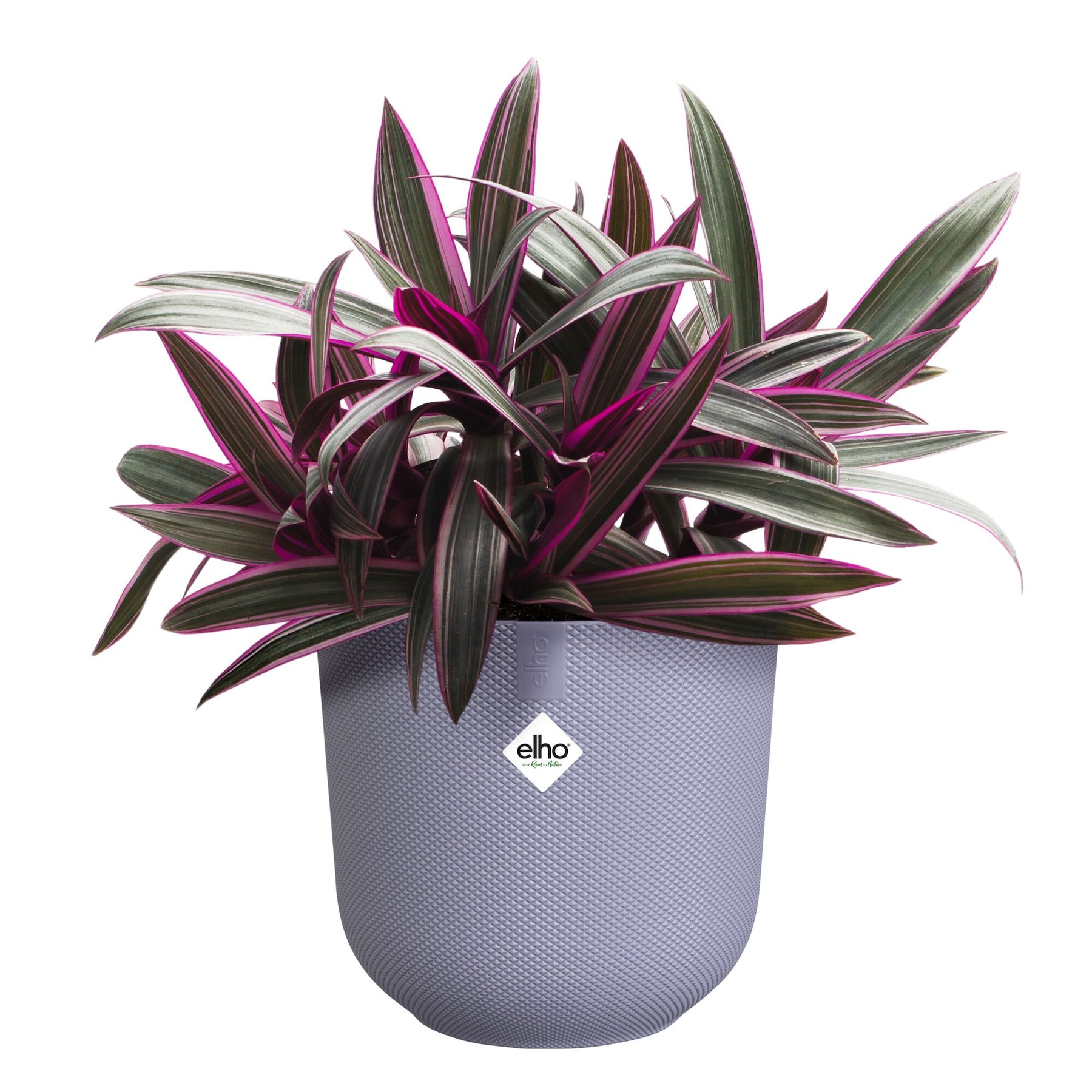 Vente Cache-pot Jazz lilas ELHO