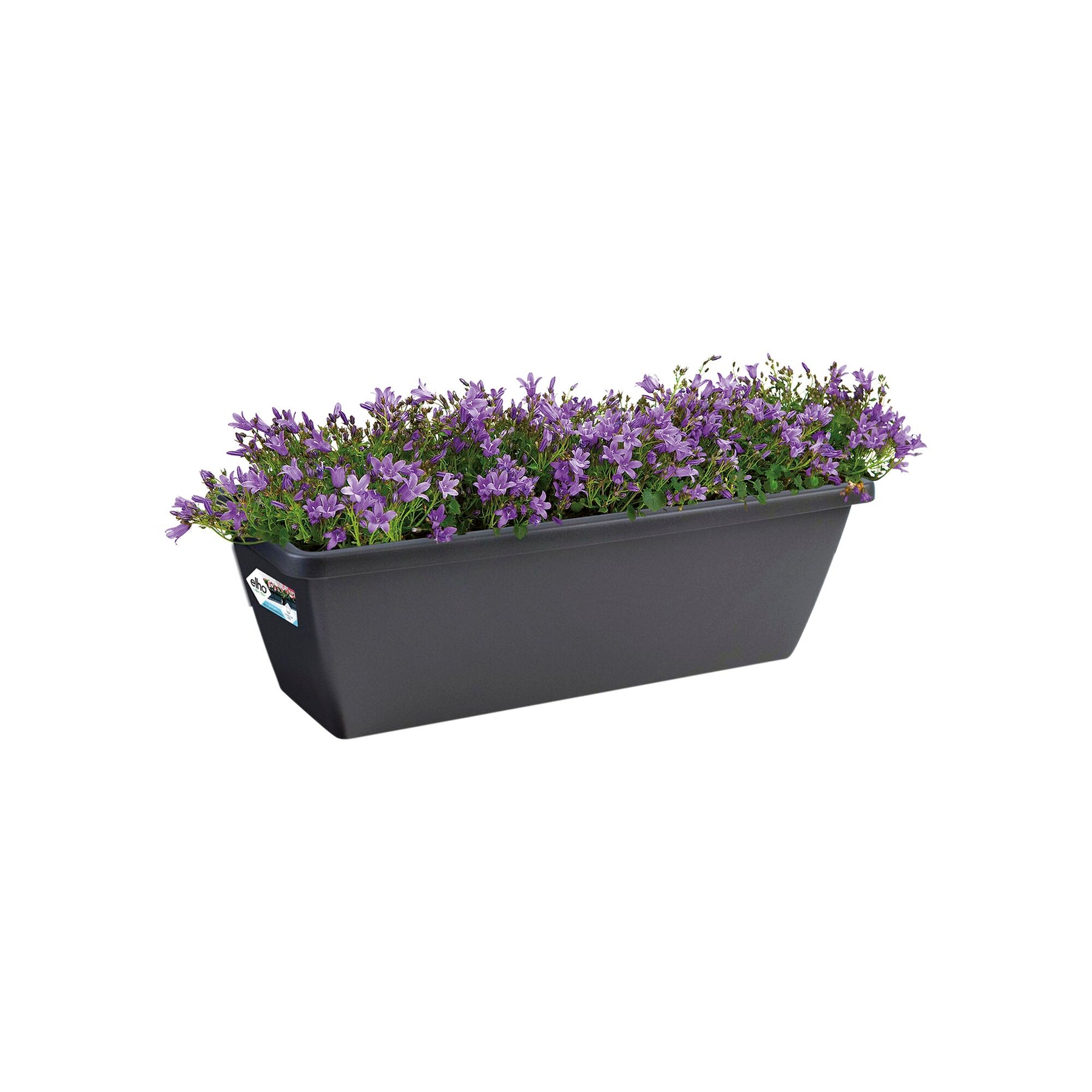  - Jardinière Barcelona Anthracite  ELHO - Jardinières et balconnières