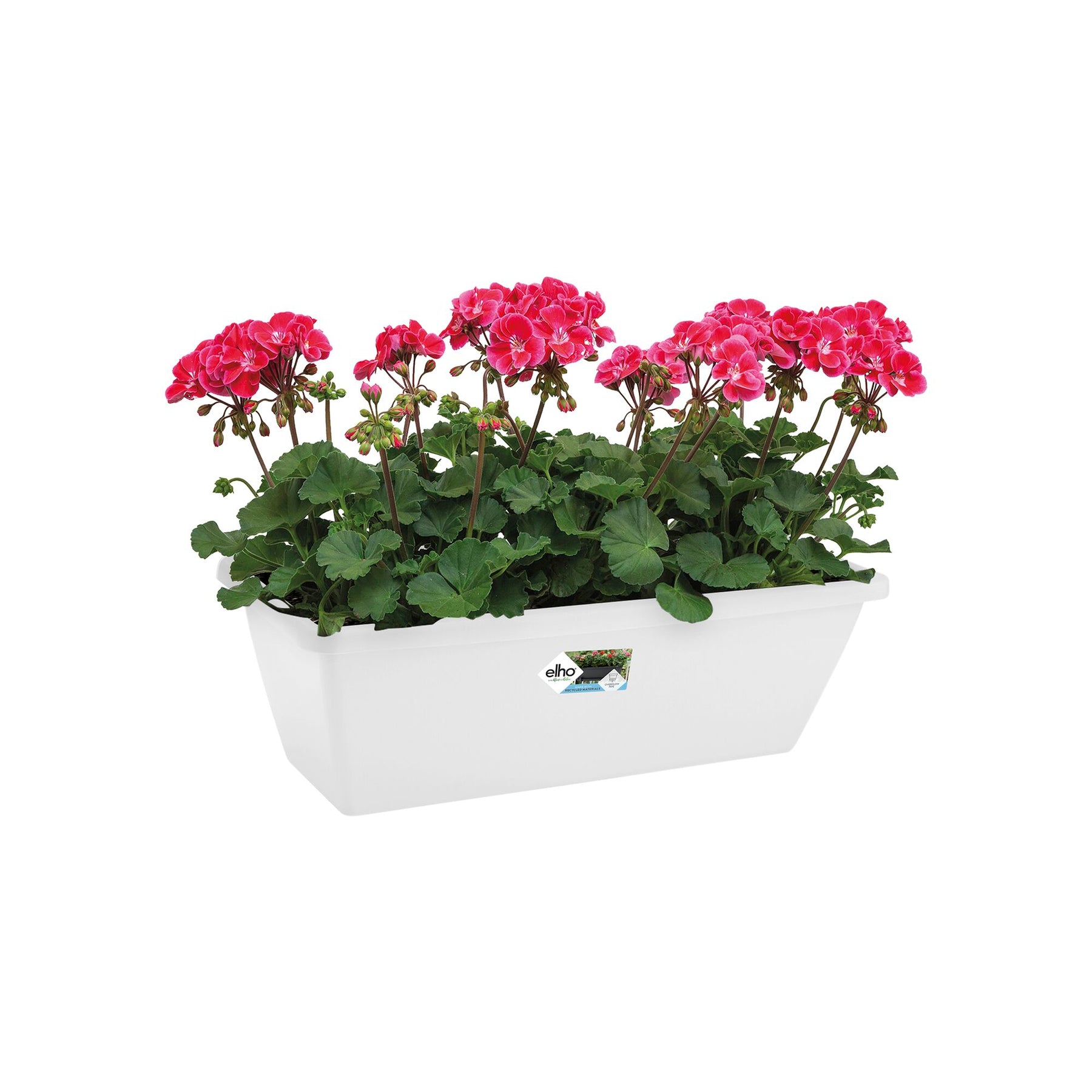  - Jardinière Barcelona Blanc ELHO - Jardinières et balconnières