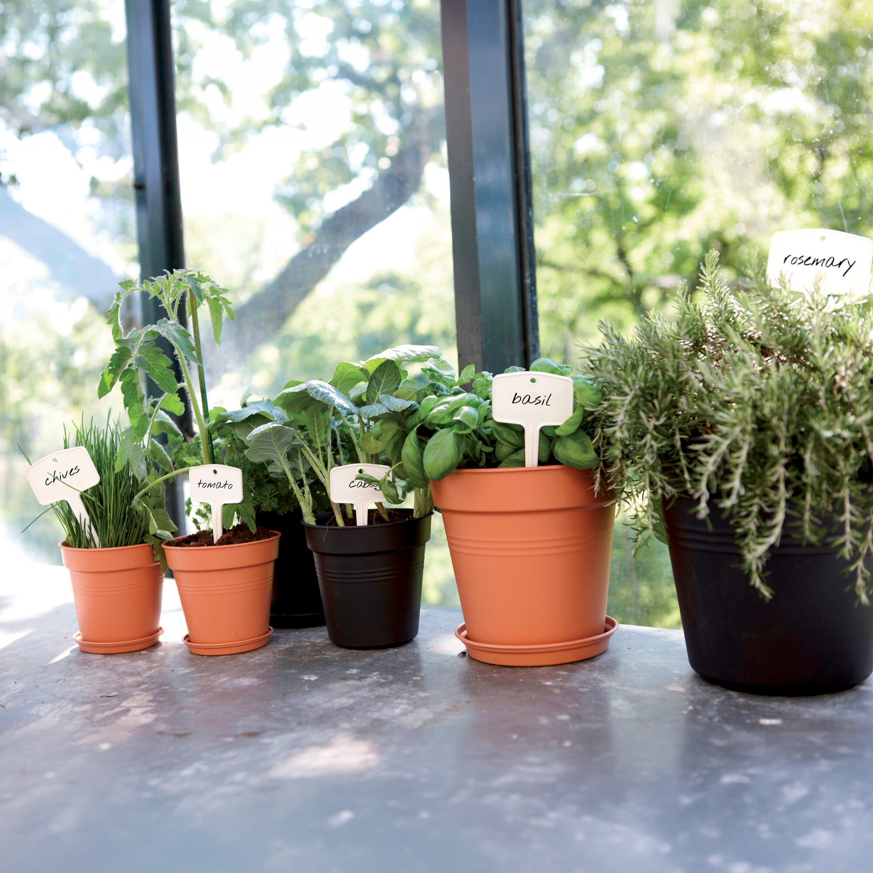 Cache-pots & Pots - Pot de culture Green Basics Vert pierre - 