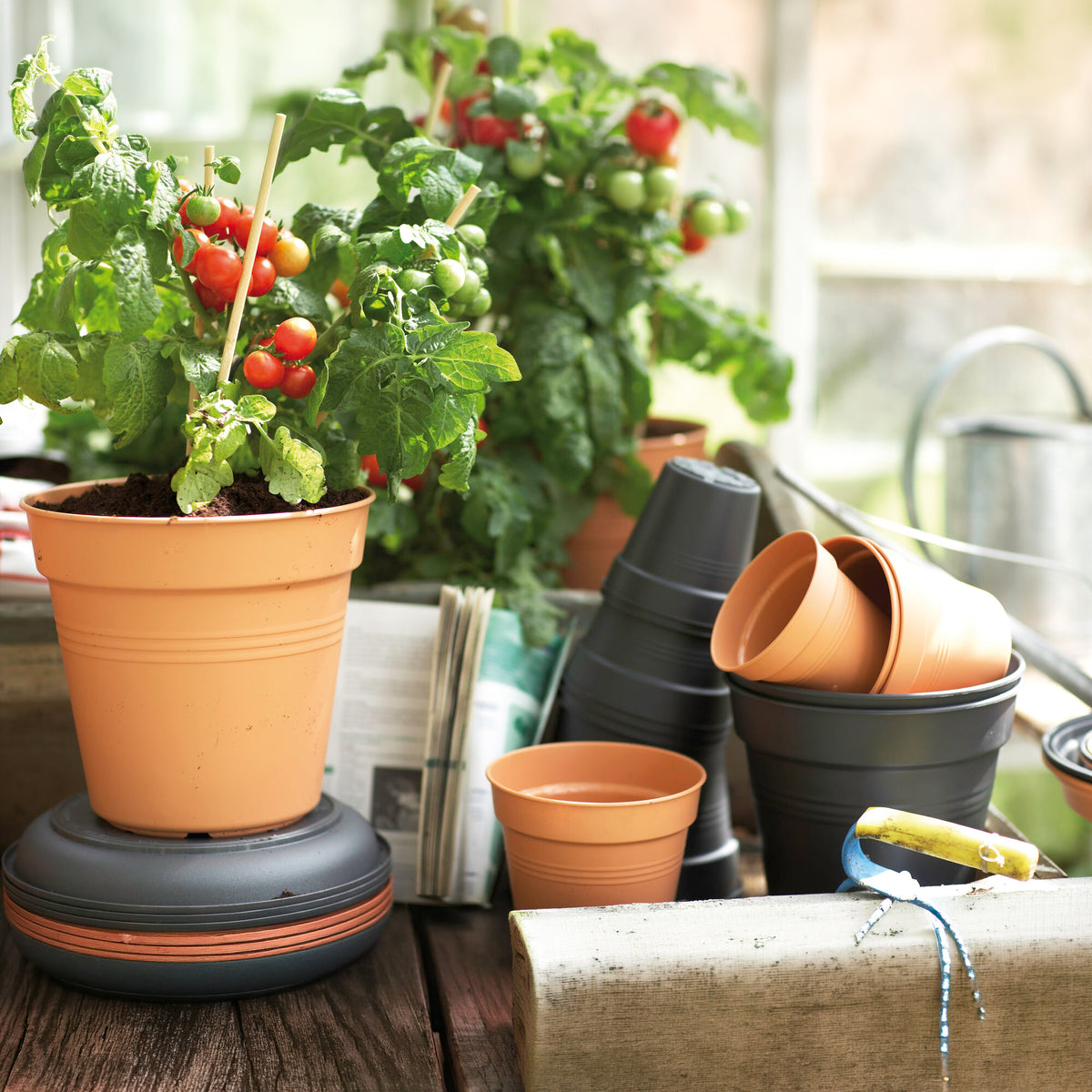 Pot de culture Green Basics Terre cuite -  - Willemse