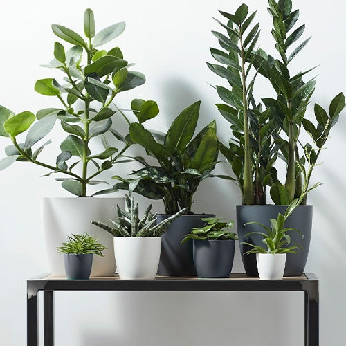 Cache-pot Brussels Round anthracite ELHO - Willemse