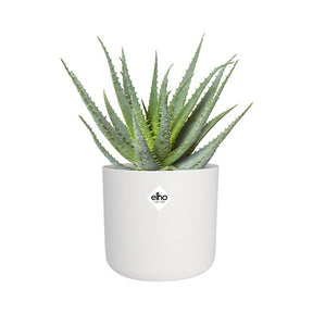 Elho Cache-pot B for soft rond blanc -  - Willemse