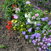 Tapis de fleurs spécial jardinières - Willemse