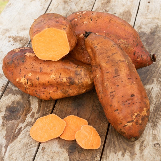 Patate douce - Willemse